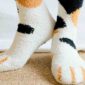 cat paw socks